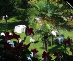 Ristorante per il matrimonio a Lodi - L'Oca Dipinta