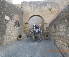 Carrozza trainata da due cavalli bianchi