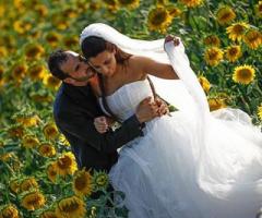 Gli sposi in un campo di girasoli - Foto di Alessio Franchi