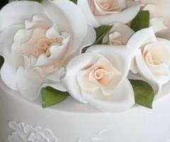 La torta - Foto Sartore