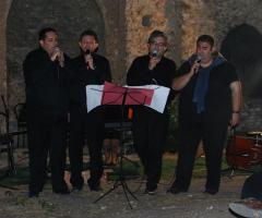 Violinista e cantante