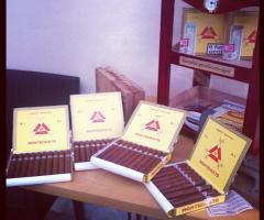 Tabaccheria Cigar & Co - I sigari