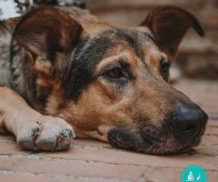 Canaglie da Matrimonio - Un po' di relax