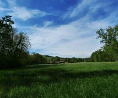 Parco della location di nozze