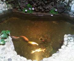 Castello Blasche: pesci nella cascata interna