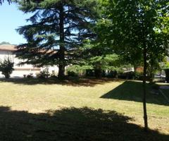 Palazzo Ducale - Il parco