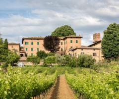 Hotel Borgo Antico - Vista dal vigneto