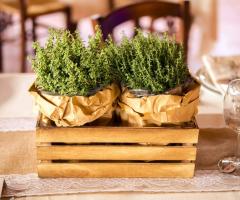 Agriturismo Il Piastrino - L'allestimento