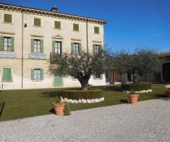 Villa Arazzi - Il parco