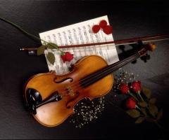 Note di violino per il sì