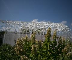 La volta in acciaio per il ricevimento di nozze en plain air