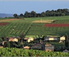 Luna di miele in Francia