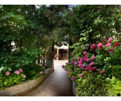 Giardino con roseto della villa per il matrimonio