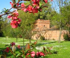 Il giardino della Villa Casalini