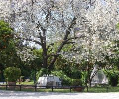 La Terra degli Aranci - Giardino della location di nozze