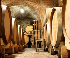 La cantina - Villa Malacari