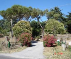 Viale di ingresso al Casale per le nozze