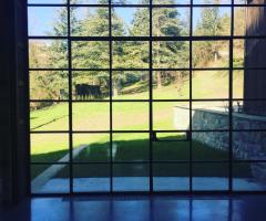 FutureLab - La vista del bosco