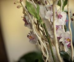 Creazione floreale "Spring"