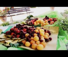 Angolo della frutta fresca di stagione