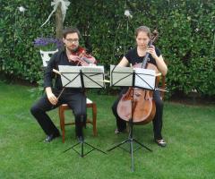 Musica classica durante il ricevimento in giardino