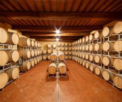 Camperchi S.A.R.L. - La cantina adiacente alle scuderie