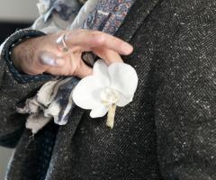 Dettaglio - semplicemententesi