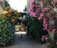 Fiori - Agriturismo Ridocco