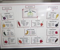 Designinthecity - Tableau per matrimoni a Genova