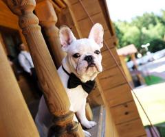 EvenTime Wedding planner - Wedding planner a Chieti Pescara l'Aquila Sumona