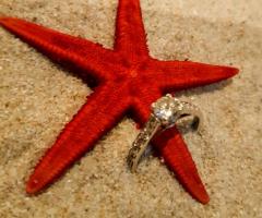 Su Misura Wedding and Events planner - Organizzazione del matrimonio ad Ancona