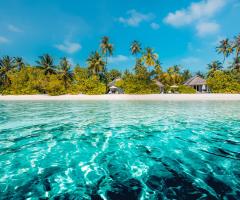 .The Freeway - Papeete