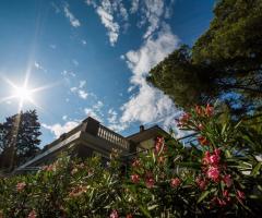 La Villa Global Events - I fiori della location