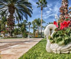 Parco dei Principi Ricevimenti - Dettagli del giardino