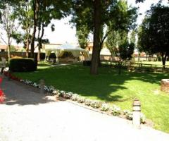 Gazebo per aperitivi di matrimonio