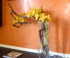 Orchidea gialla per la casa della sposa