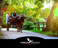 Foto degli sposi in calesse