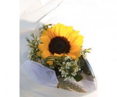 Dettaglio allestimento - Elle Esse di Schenal Luca