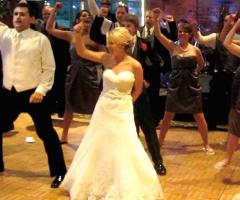 Dj del Litorale - Animazione coinvolgente