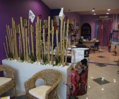 Agenzia per i viaggi di nozze