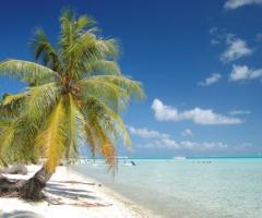 Luna di miele in Polinesia - Bora Bora