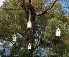 Parco della Tenuta di Polline