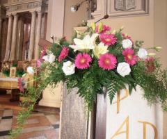 Matrimonio Gerbere Fuxia