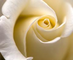 Al Ventesimo Ristorante - Special Day