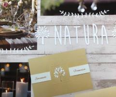 Tipografia Italtec - partecipazioni attuali