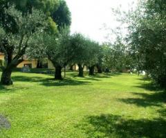 Ricevimento di matrimonio a Roma