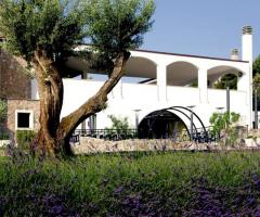 Castellaro Golf Resort per il matrimonio