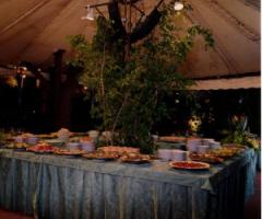 Buffet sotto il gazebo