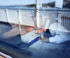 Princi Fotografo - Gli effetti speciali