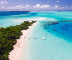 .The Freeway - Maldive